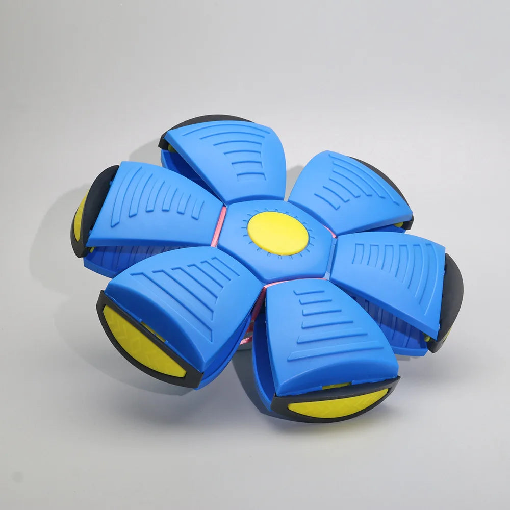 Pet Bouncy Ball