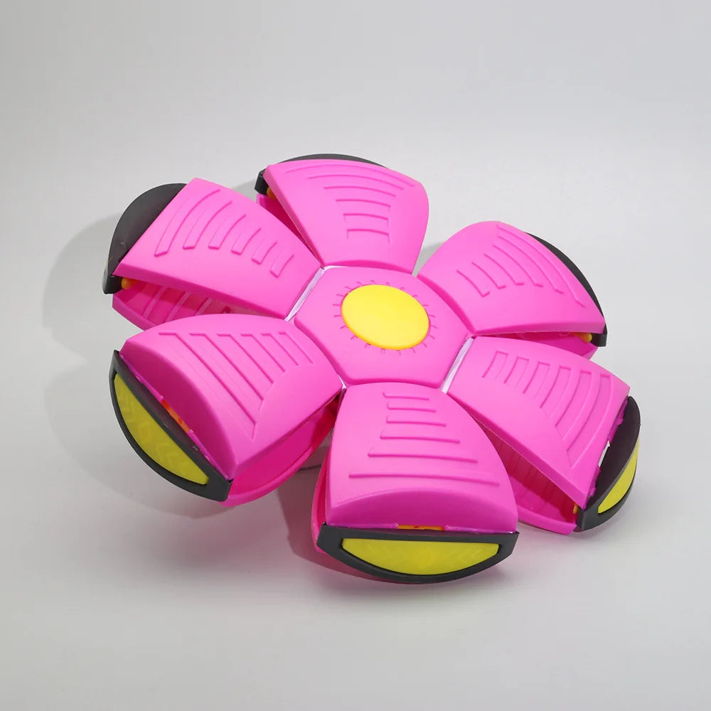 Pet Bouncy Ball