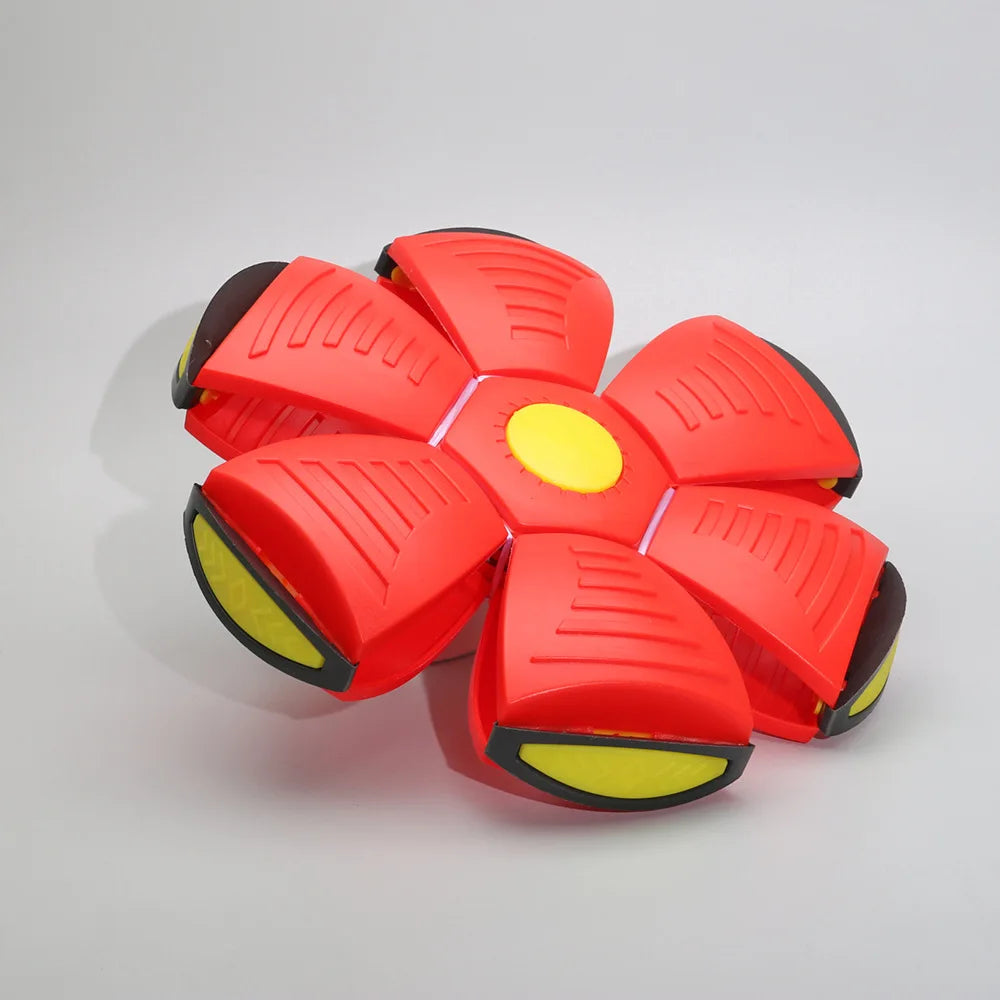 Pet Bouncy Ball